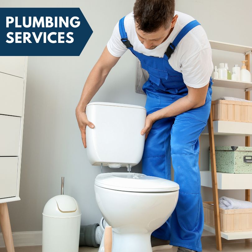 Plumbing Company in Bardolph, IL